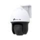 TP-Link VIGI C540S(4mm)(UN)