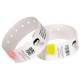 Zebra Z-Band Fun, rosa
