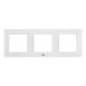 Shelly Shelly_WF_3_w