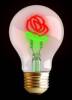 Synergy 21 S21-LED-0026074 LED Retrofit Deko Bulb A68-Rose aufladbar
