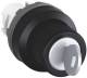 ABB 1SFA611289R1001 M2SSK4-101 key switch black plastic key