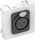OBO Bettermann 6105252 OBO MTG-X3F S SWGR1 multimedia carrier XLR 3-p socket with screw connection 