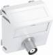 OBO Bettermann 6105030 OBO MTS-BC F RW1 multimedia carrier video BNC 1x coupling 