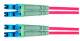 Telegärtner 100011436 LWL cable routing cable 2xG50/125 OM5 5.0 m 1xLC Duplex lindgrün