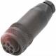 Balluff BCC A335-0000-10-000-51X5A5-000 Steckverbinder BCC070E