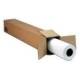 Epson C13S045151 Crystal Clear Film für Inkjet 432 mm x 30,5 m 1 Rolle