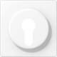 Jung LS 928 WWM cover for key switch with dismantling protection