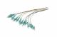 Synergy 21 S216298V3/3xS215477V2/18xS2154