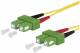 BTR 151P1EAEA20E OpDAT PK OS2 SCDAPC/SCDAPC 2m