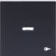 Busch Jaeger 2CKA001731A4036 1789 ST-915 Wippe mit Aufdruck mit kleiner trer Kalotte Busch-balance®