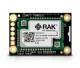 RAK Wireless 115016