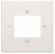 Busch Jaeger 2CKA008200A0254 BJ 8252-84-101 Zentralscheibe Future Linear
