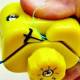 Netpeppers MB01-7000