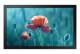Samsung LH13QBCEBGBXEN Smart Signage QB13C 33,02 cm (13