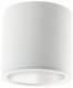 Ridi Leuchten 0331871 RIDI ADLR 195/2000-840 W-DALI surface-mounted downlight IP 20 LED modules 2000lm