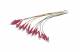Synergy 21 S216299V3/3xS215478V2/18xS2154