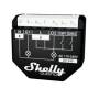 Shelly Shelly_W_2PM