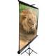 Elite Screens T85NWS1