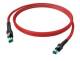 ZVK CP1ORMSMS0030 VarioBoot patch cable Cat.6A (ISO/IEC) shielded red 3.00 m