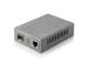 LevelOne FVS-3800 Media Konverter RJ45 zu SFP FE WebSmart