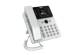 Fanvil V62G White