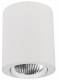 Lts Licht und Leuchten 651069 LTS BTN-A 302.30.50/DALI Anbau-Downlight Button 300 LED 29W 2305LM 50° ws