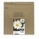 Epson C13T18064511