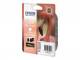 Epson C13T08704010