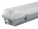 Muellerlicht ETT-1451390