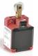 Bernstein C2-A2Z R Kleinstgrenztaster ISO Positionsschalt.2Ö Rolle 6008816015
