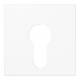 Jung A525PLWW Cover for key switch, A 525 PL WW alpine white central panel