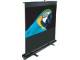 Elite Screens F80NWH