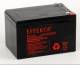 Effekta BZL/BTL12-12 Effects e.g. Battery 12V/12Ah, 10-year batteries