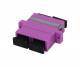 Synergy 21 S216370V2/S216315V2/18xS215449