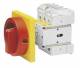 Elektra Tailfingen 33001220 Elektra D300/HS-NF35-D-RG, main-emergency switch f floor mounting