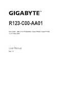 Datasheet for Gigabyte 6NR123C00DR000AA, EAN: 4719331855574