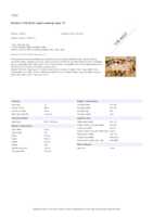 Datasheet for Brother TZEN221, EAN: 4977766693264