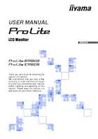 Datasheet for Iiyama B1980S-B1, EAN: 4948570125425