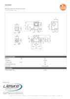 Datenblatt zu Ifm Electronic E20950, EAN: 4021179051484