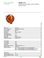 Datasheet for Schneider Electric ZB4BK1353, EAN: 3389110890853