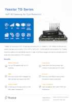 Datasheet for Yeastar TG200L, EAN: 6977639383030