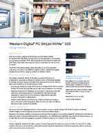 Datenblatt zu SANDISK SDAPMUW-128G