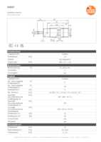 Datenblatt zu Ifm Electronic II0087, EAN: 4021179119344