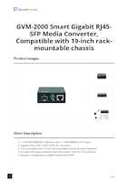 Datasheet for LevelOne GVM-2000, EAN: 4015867243169
