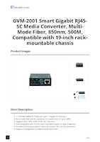 Datasheet for LevelOne GVM-2001, EAN: 4015867243176