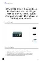 Datasheet for LevelOne GVM-2002, EAN: 4015867243183