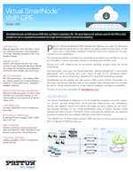 Datasheet for Patton TSW-SIP-TLS-S
