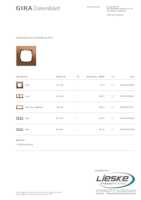 Datasheet for Gira 021138, EAN: 4010337076889