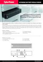 Datenblatt zu CyberPower BPE36V60ART2U, EAN: 4712364143687