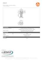 Datasheet for Ifm Electronic E30137, EAN: 4021179270533